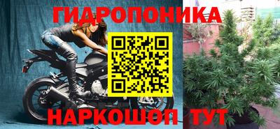 стаф Заволжье
