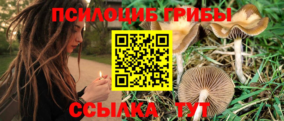 Галлюциногенные грибы GOLDEN TEACHER Луга