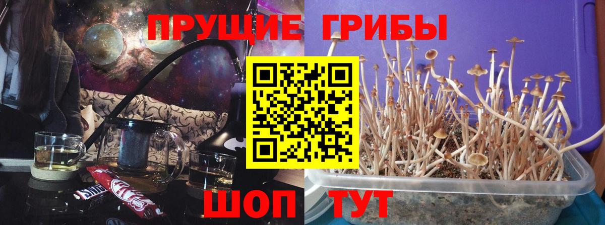 Галлюциногенные грибы мухоморы  Вход с VPN  Луга 